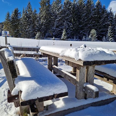 Wohlfuehl-Appartement Bergsee Family - Am Wildsee - Sup Und Schlitten For Free Seefeld in Tirol Eksteriør billede