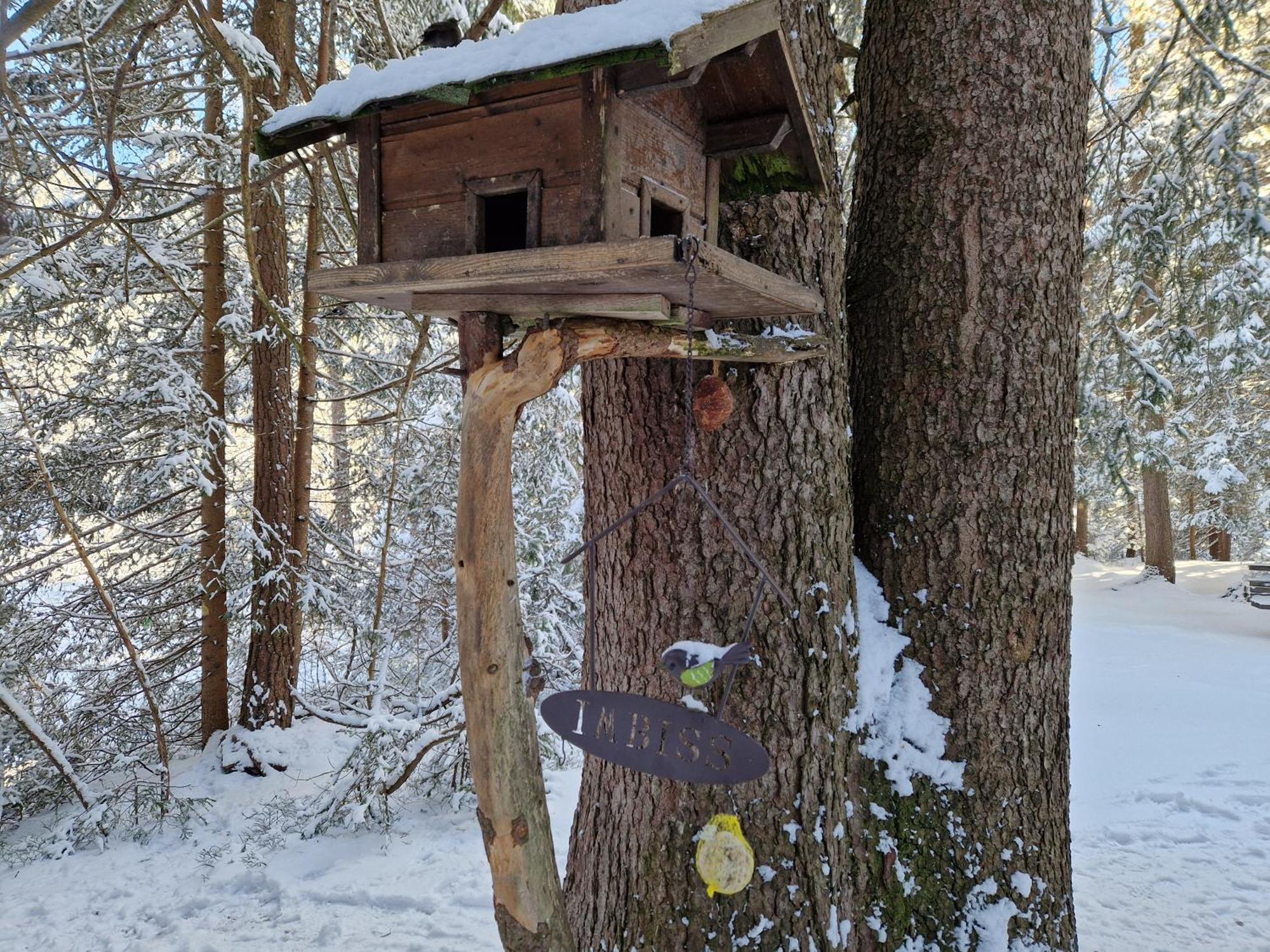 Wohlfuehl-Appartement Bergsee Family - Am Wildsee - Sup Und Schlitten For Free Seefeld in Tirol Eksteriør billede